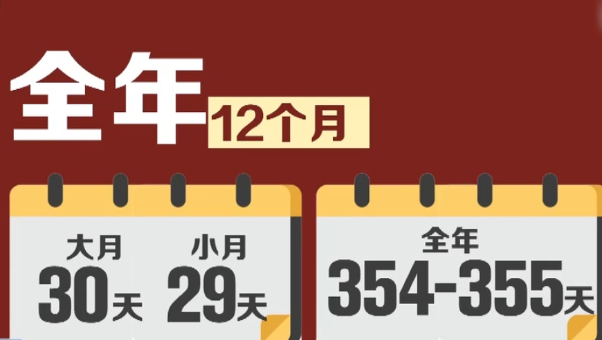 2024香港开奖结果记录及查询,详尽解答解释落实_D版64.473