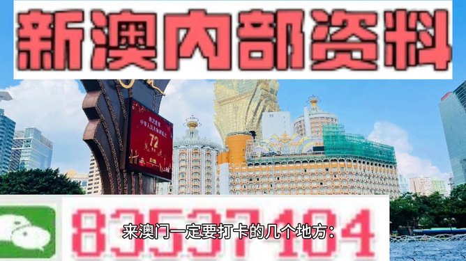 新澳门4949正版大全,绝对经典解释落实_专业版150.205