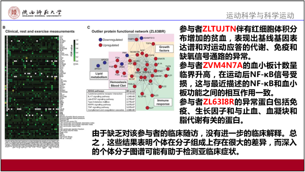 2024新澳资料大全免费下载,广泛的解释落实方法分析_娱乐版305.210