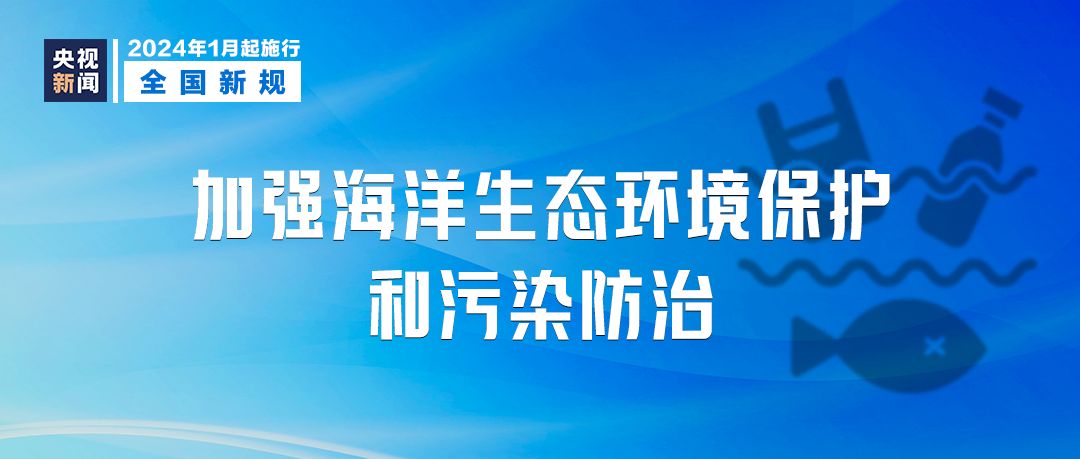 2024年11月9日 第16页