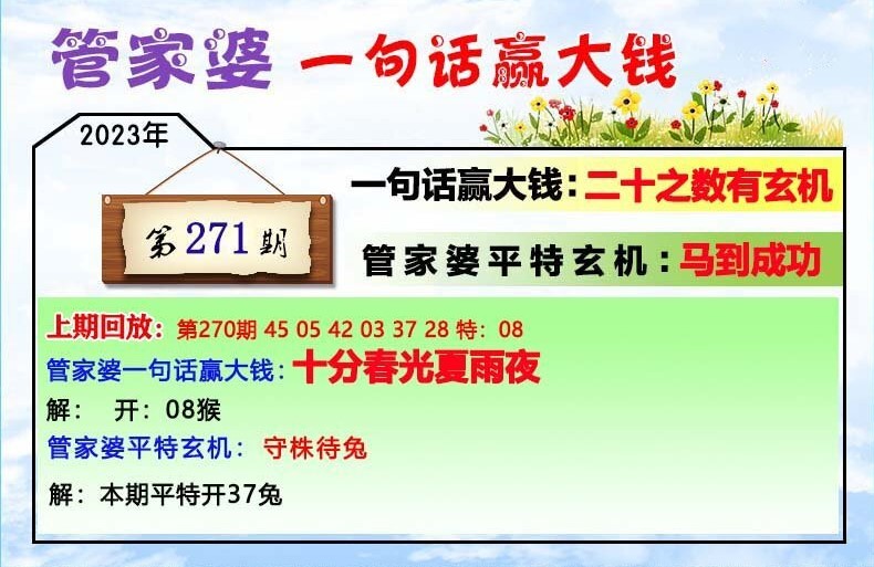 2024年11月14日 第29页