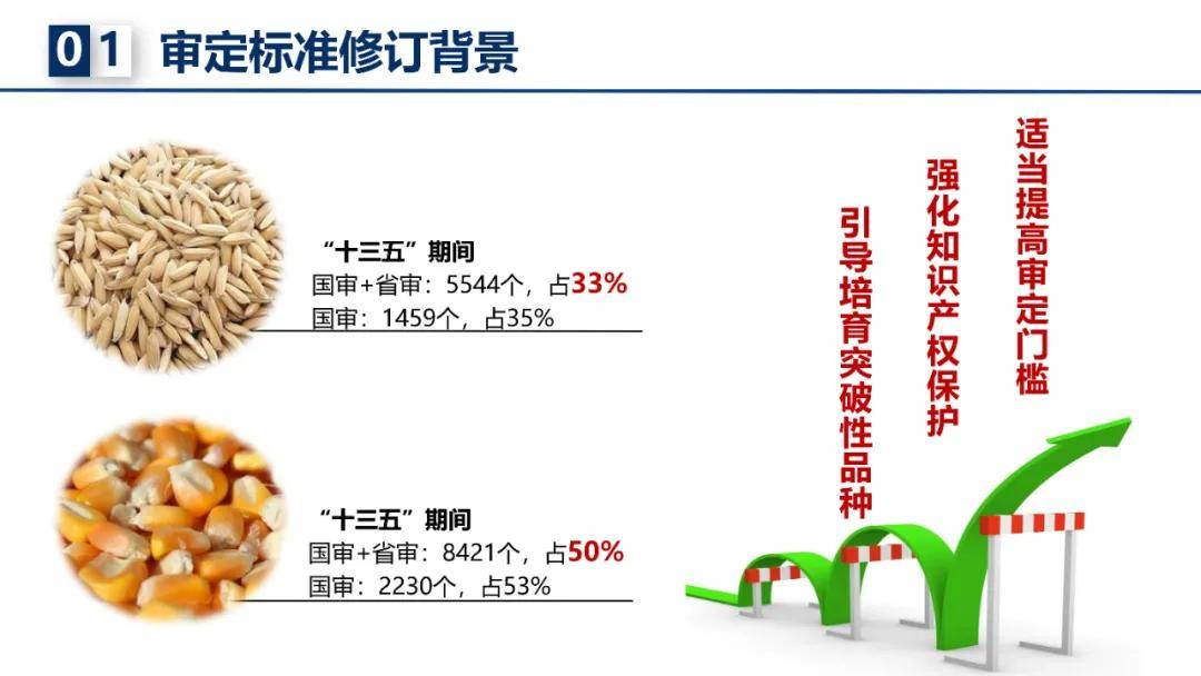 澳门正版猛虎报资料,最新答案解释落实_ios2.97.118