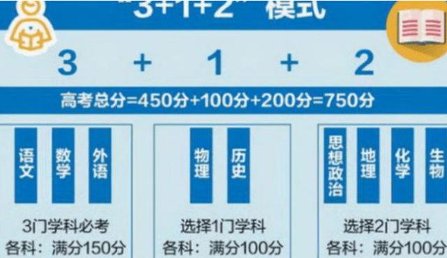 新奥门免费资料大全历史记录开马,准确资料解释落实_豪华版180.300