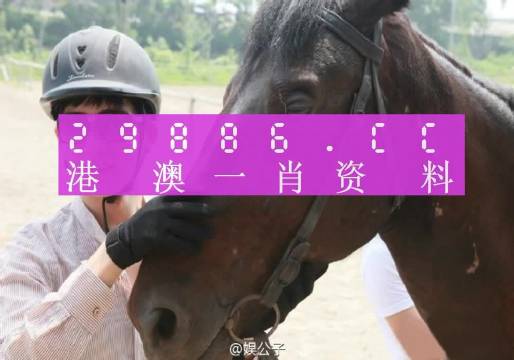 澳门一肖一码必中一码,表达解答解释落实_主力版63.91.21